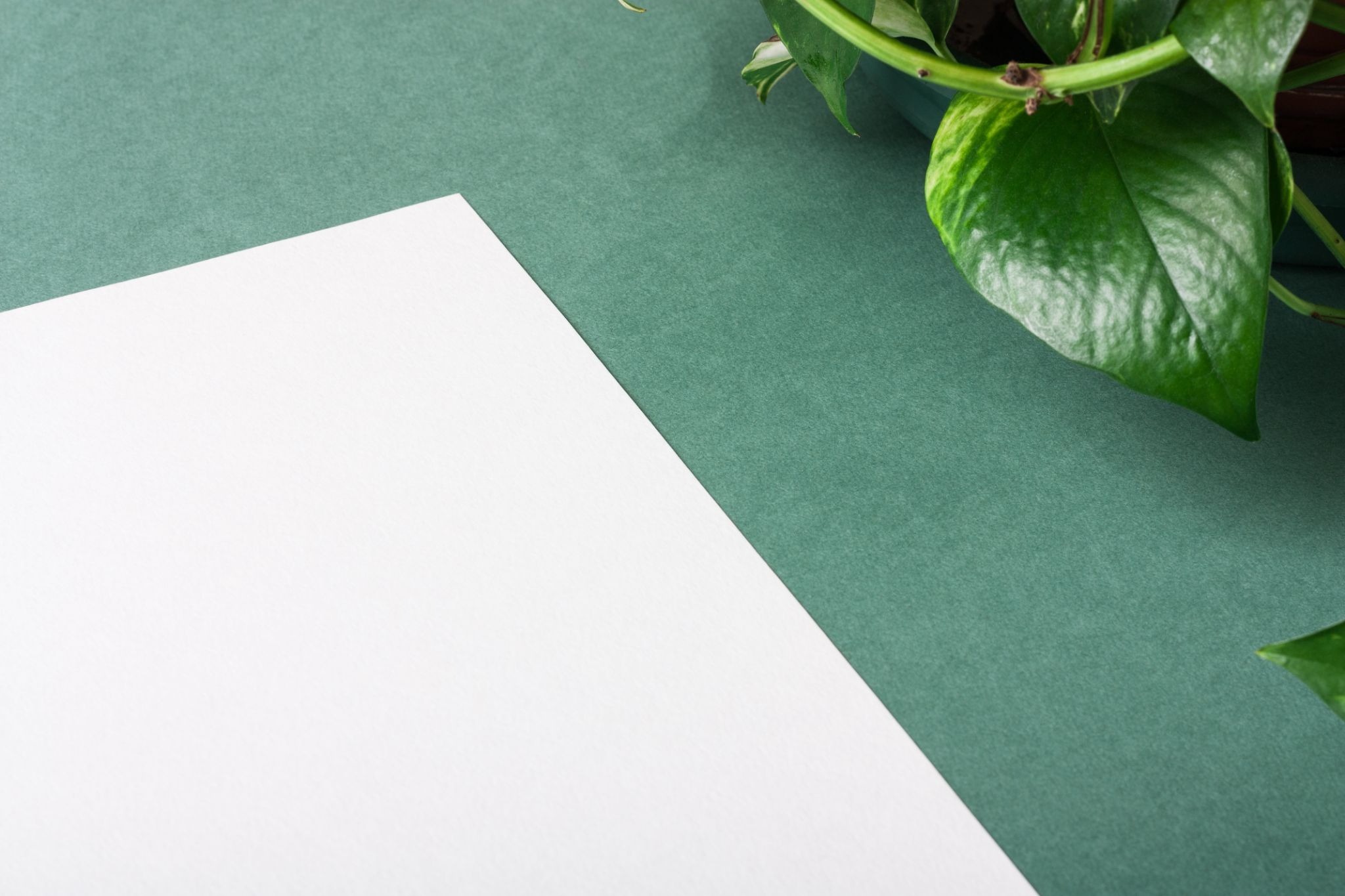 Duurzaam kantoor: 5 praktische tips voor een groene werkplek | Green Nederland