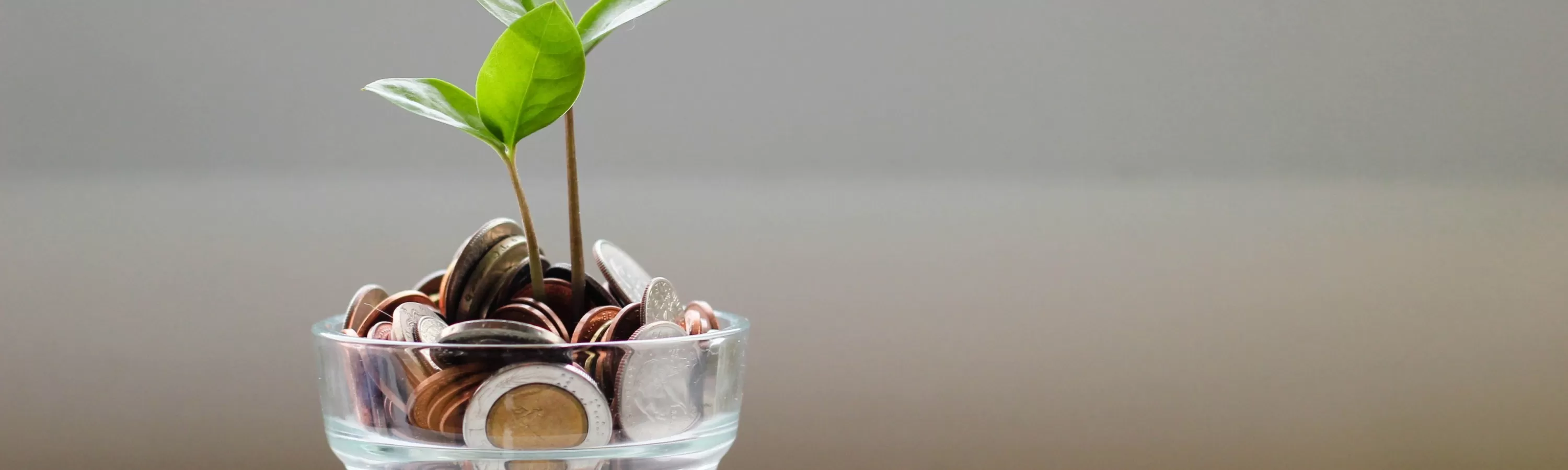 5 tips om uw kantoor te verduurzamen